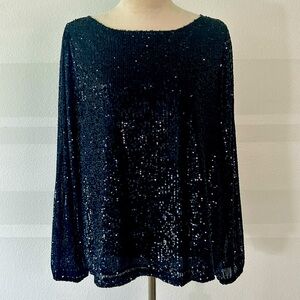 Ann Taylor Navy Blue Sequin Beaded Metallic Blouse